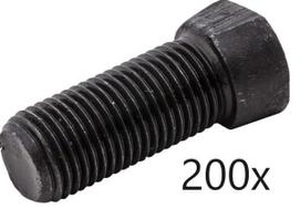 Varžtų pakuotė 200 vnt M12x1.25x35 1067911020BAC