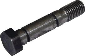 Varžtas M16x81 1153005010