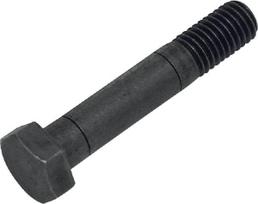 Varžtas M12x65 1151002010