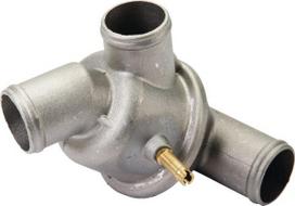 Termostatas Steyr 131100060065