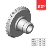 Dantratis (pinion) 154470816