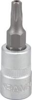 Antgalis-galvutė 1/4" Torx TX20 18060066020KR