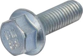 Flanšinis varžtas M8 x 25 187Q0110020