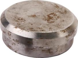 Rato gaubtas (hub cap) 19435DK