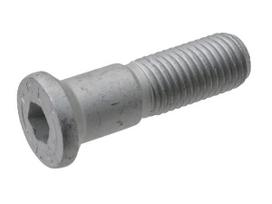 Varžtas su vidiniu šešiakampiu M16x60 12.9 Sp 84953