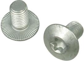 Torx sferinis varžtas M10x16 (Mullos) 84942