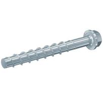 Betono sraigtas FBS II 10x60 (50 vnt.) 536858
