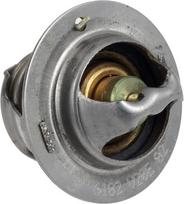 Termostatas 2517660