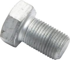Varžtas M16x1.5x25 10.9 3013662
