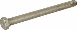 Specialus šešiakampis varžtas M16x 3014120
