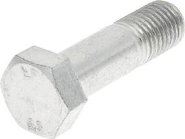 Varžtas M20x70 B28 Lemken 3014600