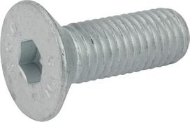 Varžtas M12x35 10.9 3016129