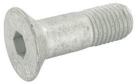 Įleidžiamas varžtas M16x50 10.9 3016144