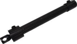 Hidraulinis cilindras Lemken 32/20-250D20 (5752304)