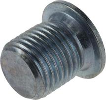 Varžtas M16x1.5x17 28202508
