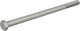 Šešiakampis varžtas M16x270-10.9 30110084