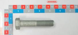 Varžtas M16x80 su kairiniu sriegiu 30513115