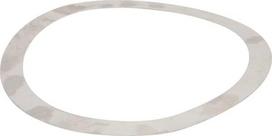 Tarpinis žiedas (shim ring) 50010100