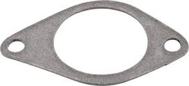 Įsiurbimo kolektoriaus tarpinė C-385 26900080005082
