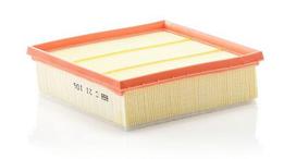 Oro filtras C21106
