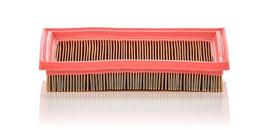 Oro filtras C2244