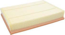 Variklio oro filtro panelė P614541