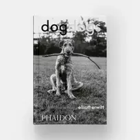 DogDogs