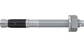 Inkarinis varžtas su žiedu Fischer FAZ II 8/10, 8x75 mm