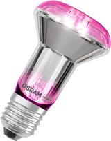 Osram Lemp LED augalams 1300K E27 7.5W 140lm