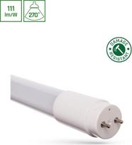 Spectrum Lemputė Spectrum LED, T8, 4000 °K, G13, 9 W, 820 lm