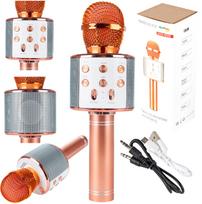 Žaislinis Karaoke Bluetooth mikrofonas