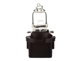 Bosma lemputė B10D, 5W, halogen