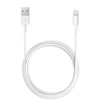 Adapteris laidas Apple iPhone Lightning - USB 3m.