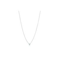 Tiffany & Co. Elsa Peretti® Įklotas detalės sidabro deimantinis karoliai Moteriški karoliai 60017904 F,Silver
