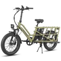 Fafrees FF20 CUV - Elektrinis krovininis dviratis - 250 W - 48 V - 24 Ah - 20 colių ratlankis - Maksimalus greitis 25 km/h - Žalias