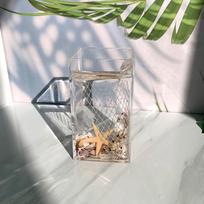 Creative Beach Shells Bathroom Toiletries Countertop Mouthwash Cup Lotion Bottle Soap Box Exquisite Bathroom Accessories