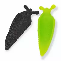 Zoologija – Lipnūs sraigės (2 vnt.)