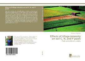 Effects of tillage intensity on soil C, N, and P pools: Pools with different stability