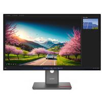 Lenovo ThinkVision P32UD-40 - LED-Monitor - 81.3 cm (32")