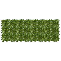 Balkono ekranas su lapais Žalia ir geltona 200 x 75 cm