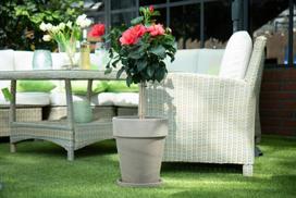 Vazonas Lauko Xl D39h45 143-025-38 45 cm
