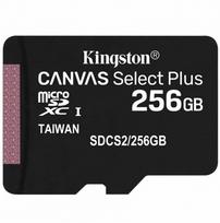 256GB microSD kortelė