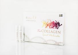 FENOQ TRICOLLAGEN SPORT MOLECULES, N28