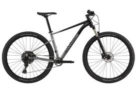 Dviratis CANNONDALE TRAIL 29  SL 4 (C26452M10/GRY)
