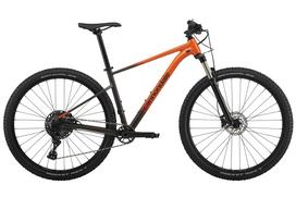 Dviratis CANNONDALE TRAIL 29  SL 4 (C26452M20/ORG)