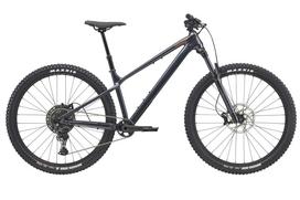 Dviratis CANNONDALE HABIT HT 1 (C26075U20/TUB)