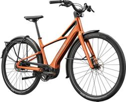 Elektrinis dviratis CANNONDALE FLYINGV 2 (C64135U20/TGE)