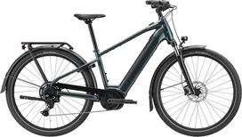 Elektrinis dviratis CANNONDALE TESORO X 3+ (C66125U10/GMG)