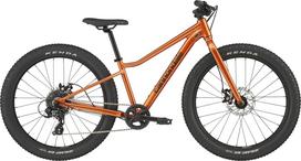 Vaikiškas dviratis CANNONDALE KIDS TRAIL PLUS 24  (C5202GU10/FOR)