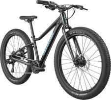 Vaikiškas dviratis CANNONDALE KIDS TRAIL PLUS 24  (C5202GU20/BPL)